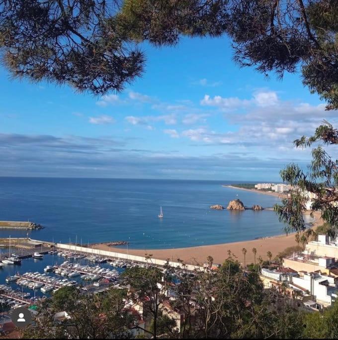 Piso Ideal Para Una Familia Ubicado Cerca Del Mar بلانيس المظهر الخارجي الصورة